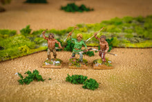 Load image into Gallery viewer, Gallic Warband Boxed Set