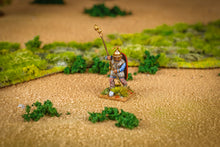 Load image into Gallery viewer, Gallic Warband Boxed Set