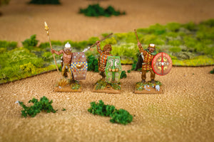 Gallic Warband Boxed Set