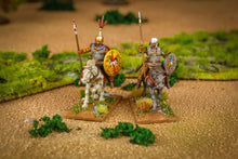 Load image into Gallery viewer, Gallic Warband Boxed Set